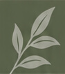 Lisc baner 2